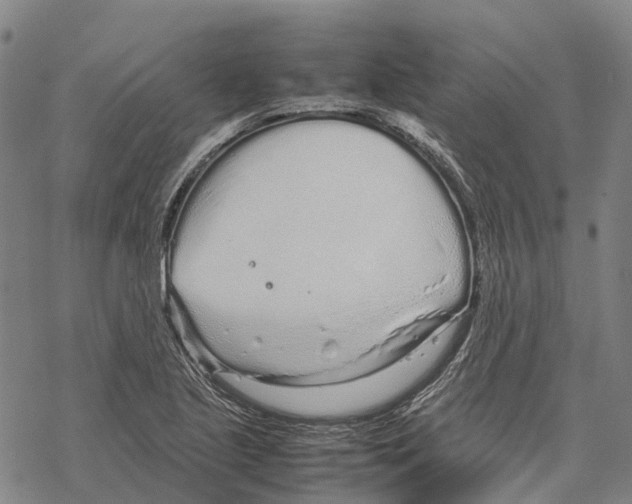 X0000067481221200605051704