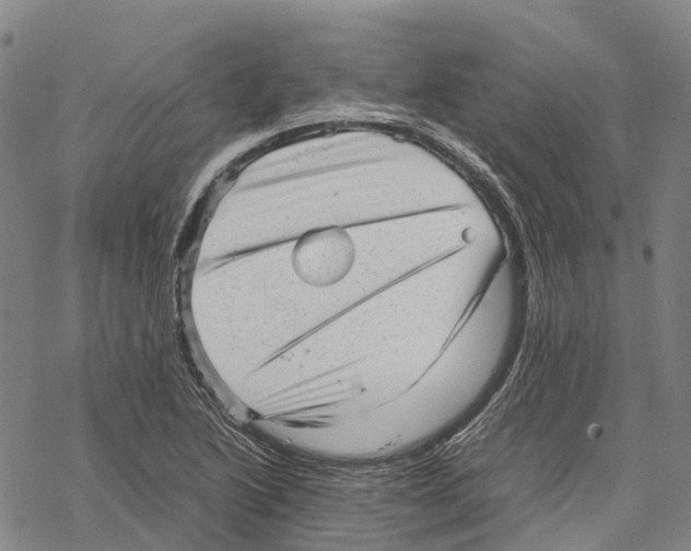 X0000067481222200605051704