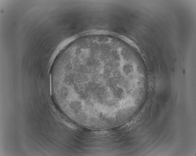 X0000067481223200605051704