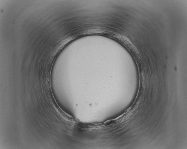 X0000067481225200605051704