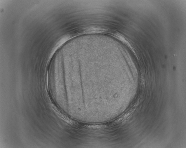 X0000067481227200605051704