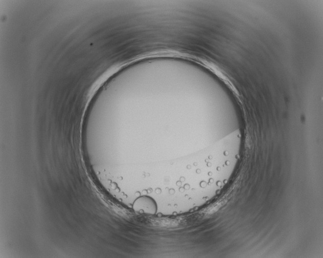 X0000067481229200605051704