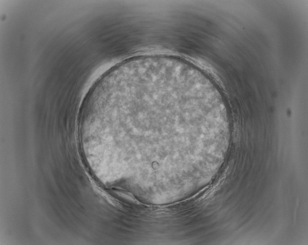 X0000067481231200605051704