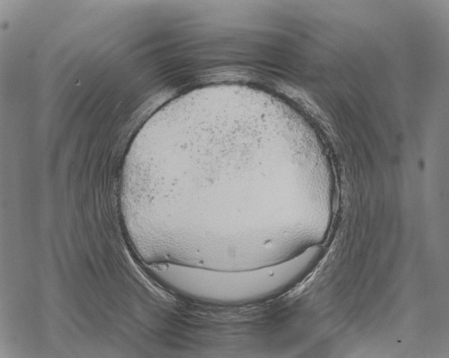 X0000067481233200605051704