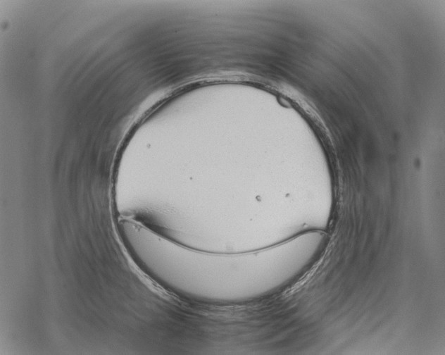 X0000067481237200605051704