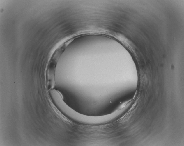 X0000067481238200605051704