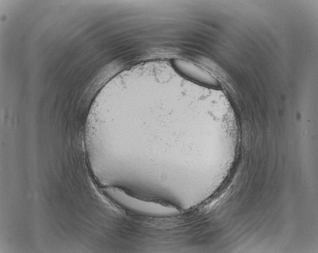 X0000067481241200605051704