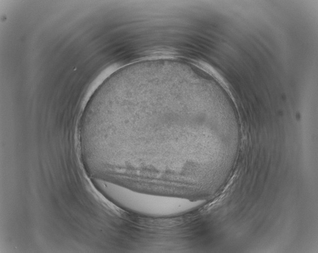 X0000067481243200605051704