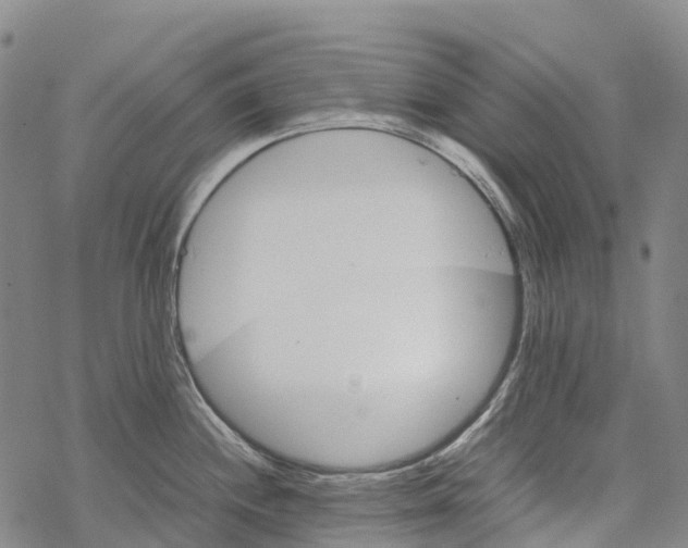 X0000067481244200605051704