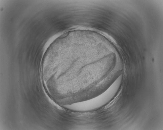 X0000067481247200605051704