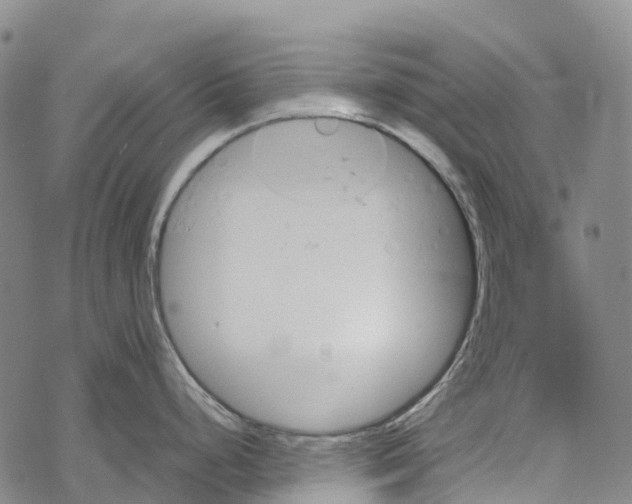 X0000067481248200605051704