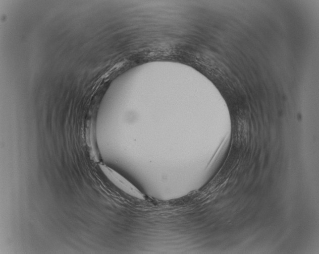 X0000067481250200605051703