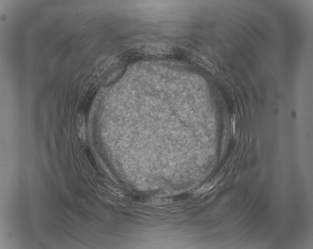 X0000067481251200605051703