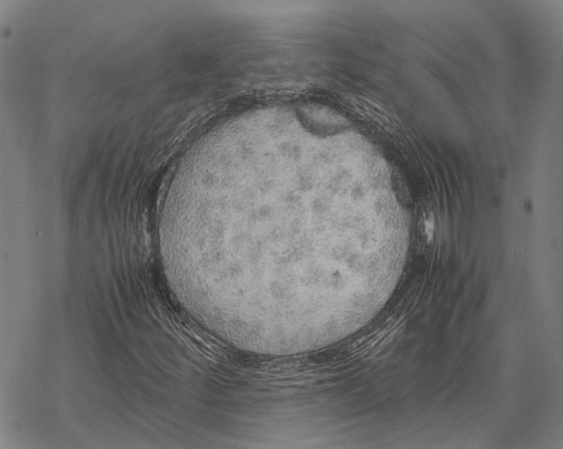 X0000067481252200605051703