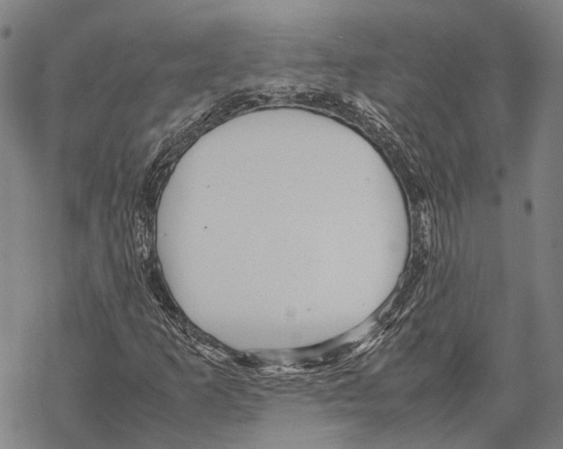 X0000067481253200605051703