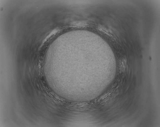 X0000067481254200605051703