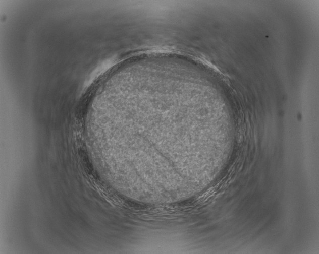 X0000067481255200605051703