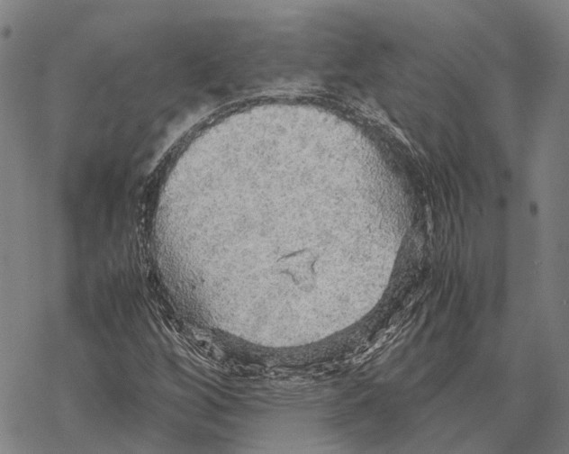 X0000067481256200605051703