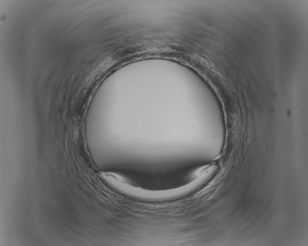 X0000067481257200605051703