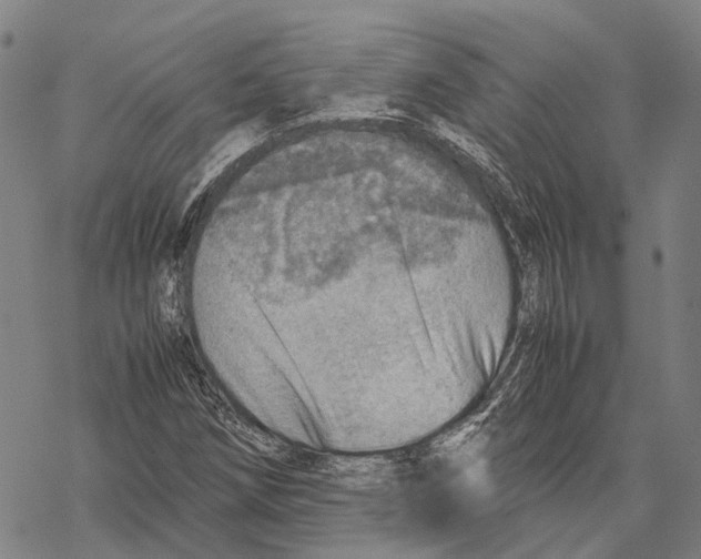 X0000067481258200605051703