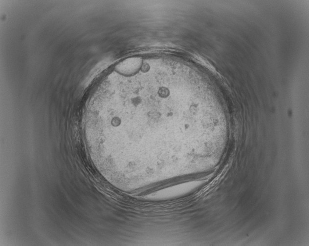 X0000067481259200605051703