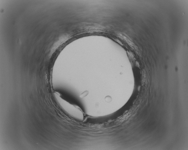 X0000067481261200605051703