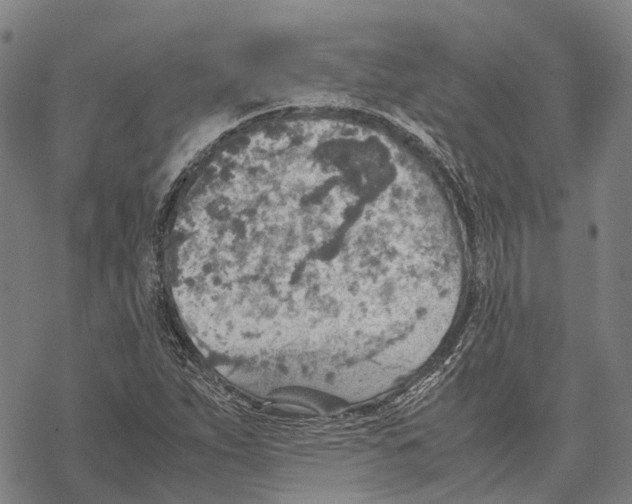 X0000067481263200605051703