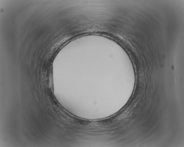 X0000067481265200605051703