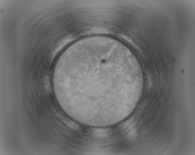 X0000067481266200605051703