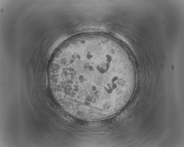 X0000067481267200605051703