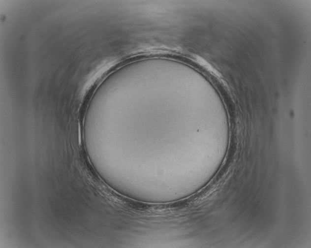 X0000067481269200605051703