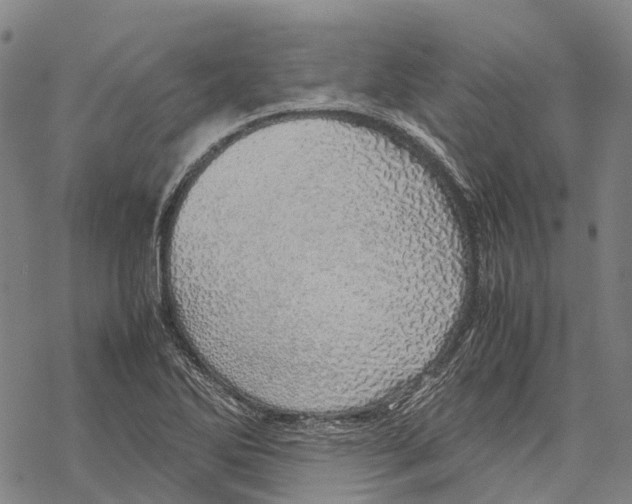 X0000067481270200605051703