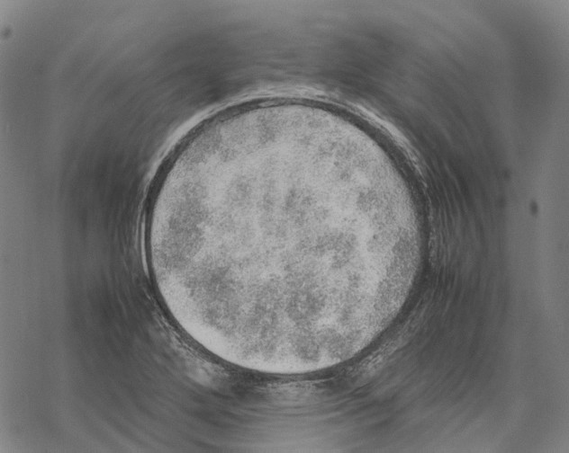 X0000067481272200605051703