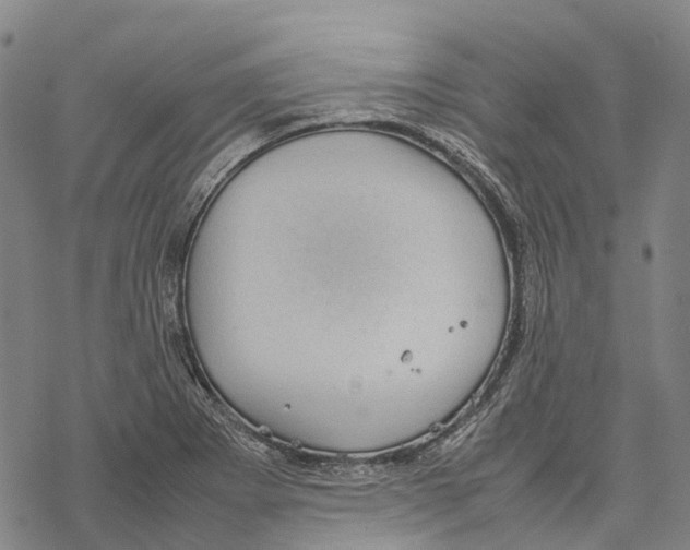 X0000067481273200605051703