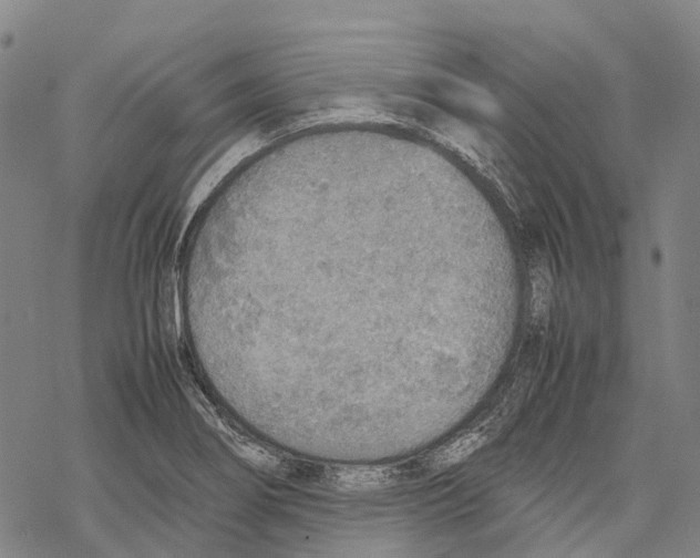 X0000067481274200605051703