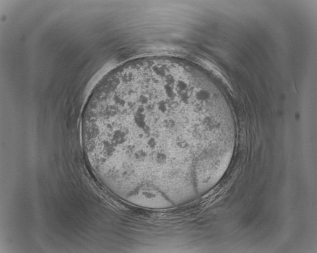 X0000067481275200605051703