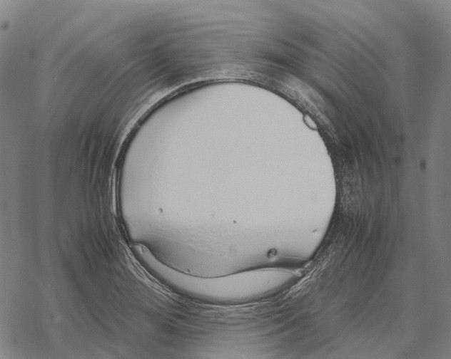 X0000067481276200605051703