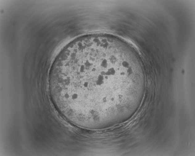 X0000067481279200605051703