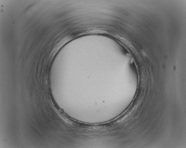 X0000067481281200605051703