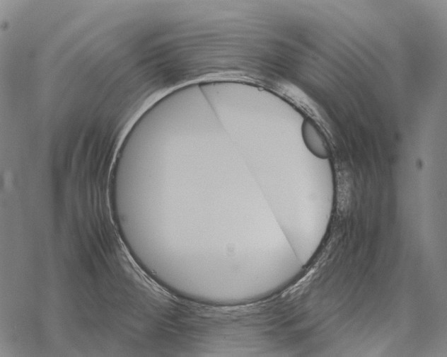 X0000067481284200605051703