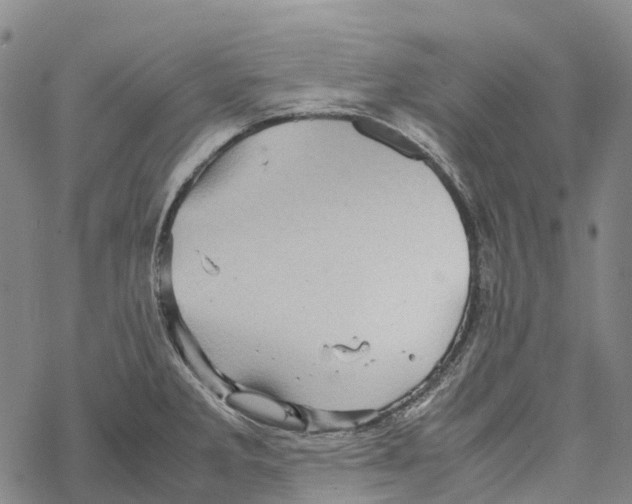 X0000067481285200605051703