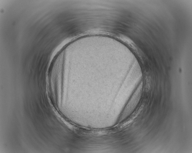 X0000067481286200605051703