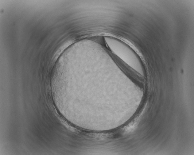 X0000067481289200605051703