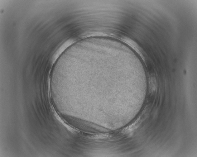 X0000067481290200605051703