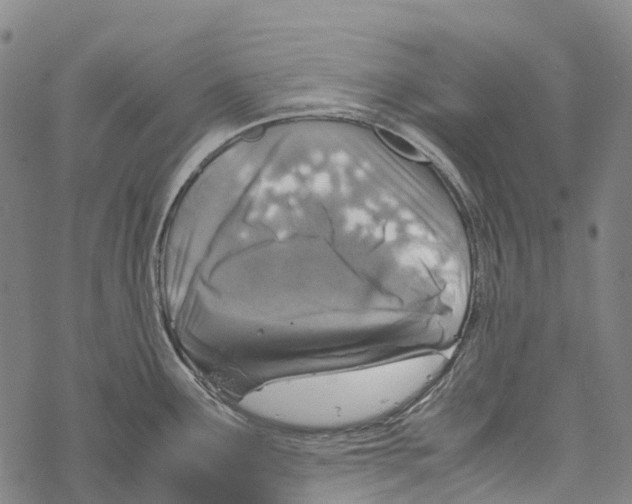 X0000067481291200605051703