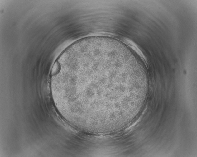 X0000067481292200605051703