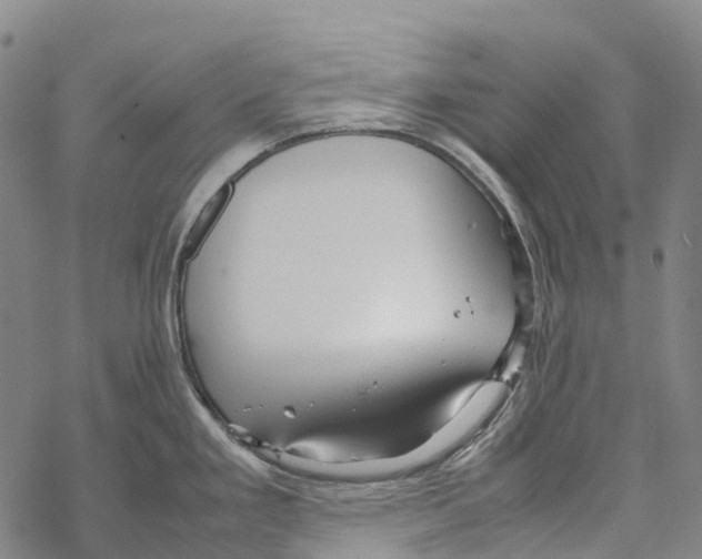 X0000067481293200605051703