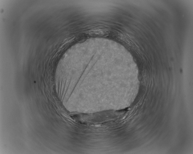 X0000067481297200605051702