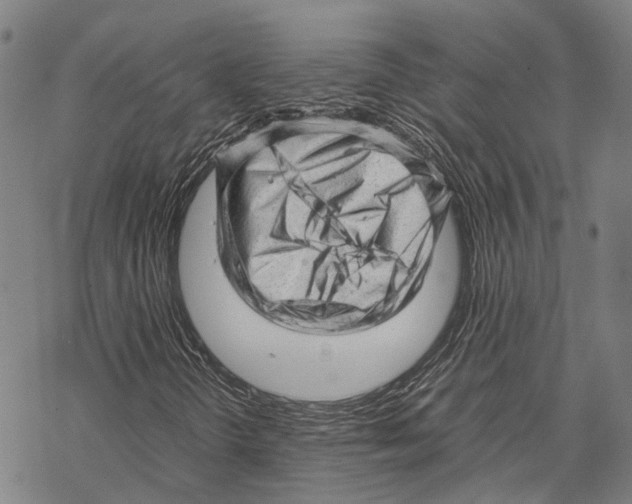 X0000067481298200605051702