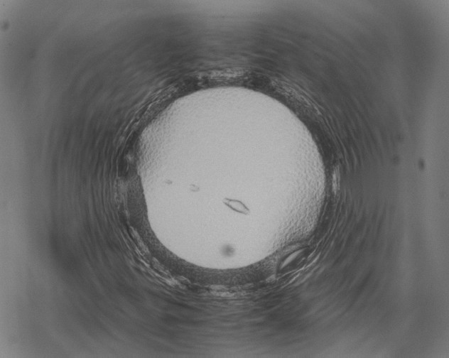 X0000067481299200605051702